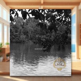 外版 书精装 Dawoud Elegy 达沃德·贝：挽歌英文摄影摄影师专辑进口原版 Bey Aperture书籍图书正版 预售