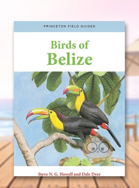 【预售】伯利兹的鸟 Birds of Belize 原版英文社会科学进口书籍图书外版正版