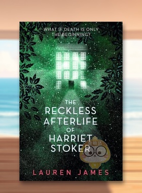【现货】鲁莽的来世英文青少年读物进口原版书Reckless Afterlife  James著Walker Books UK出版书籍图书外版正版