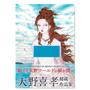 【现货】天野喜孝画集 天野喜孝 秘蔵作品集 日文原版原画艺术作品集画册书籍进口图书 日本插画师