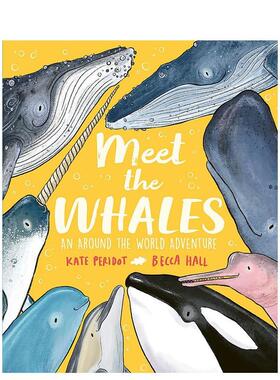 【现货】遇见鲸鱼 Meet the Whales 英文原版儿童知识科普百科绘本6-9岁进口英语启蒙读物书籍 Kate Peridot,Becca Hall
