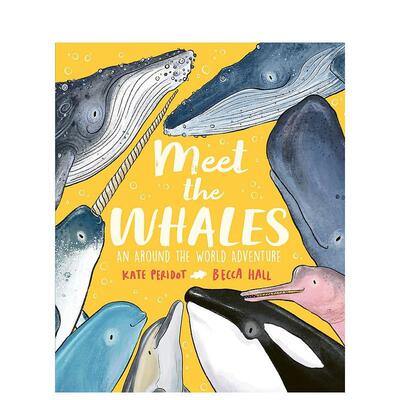 【现货】遇见鲸鱼 Meet the Whales 英文原版儿童知识科普百科绘本6-9岁进口英语启蒙读物书籍 Kate Peridot,Becca Hall