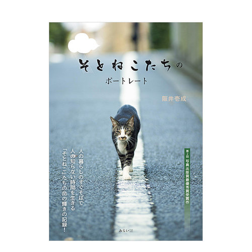 【现货】野猫肖像 そとねこたちのポ—トレ—ト 阪井壱成 日本原版动物摄影集 萌猫写真照片书籍进口