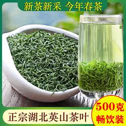 茶叶绿茶英山云雾茶2025新茶浓香型耐泡高山毛尖春茶正宗湖北茗茶