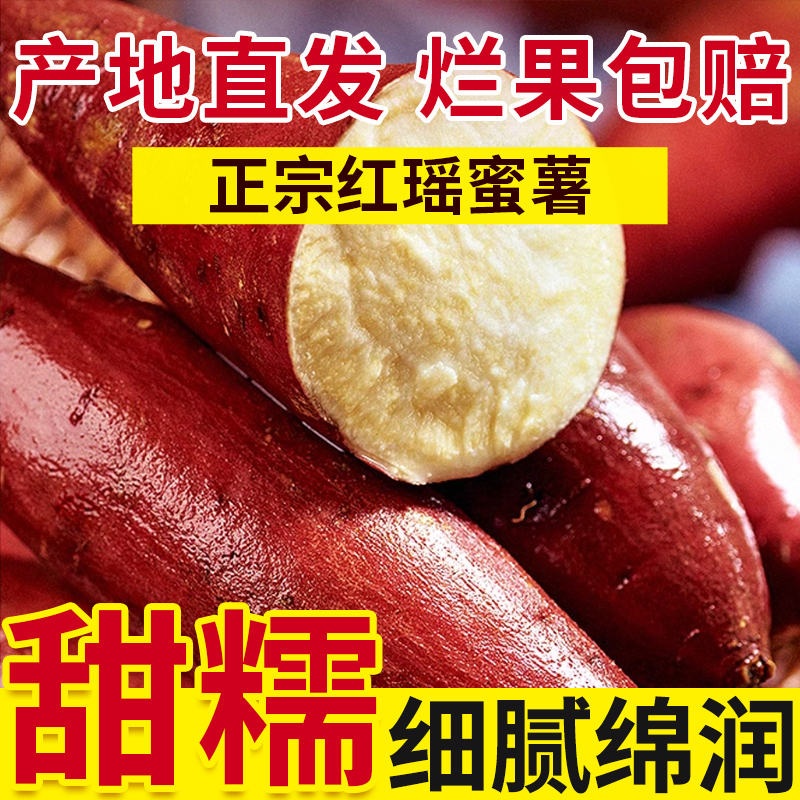天津岳龙红瑶蜜薯软糯香甜