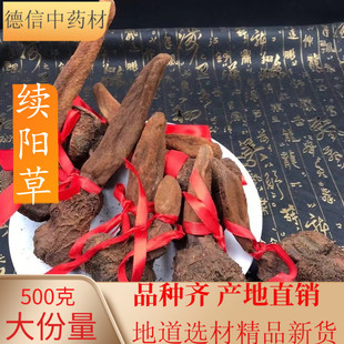 中药材干品云南野生锁阳 顶天柱 续阳草 回春草500克包邮 可打粉