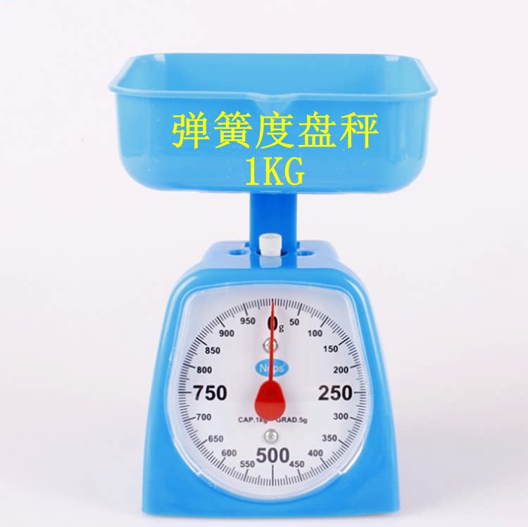 弹簧天平秤认识益智玩具科学实验