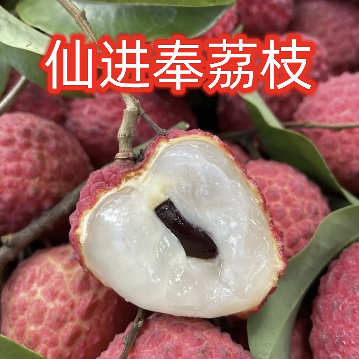 仙进奉荔枝现摘现发广西灵山超甜新鲜孕妇水果5/10斤送礼佳品