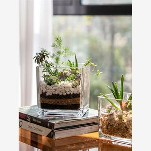 创意水培器皿花瓶摆件透明玻璃缸花盆插花水养鲜花绿萝正方形花器