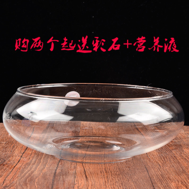 透明玻璃器皿花瓶水仙水培盆花盆