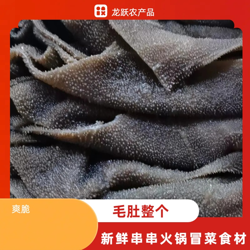 毛肚整只包邮商用火锅冒菜麻辣烫串串香牛杂牛肚牛百叶包邮