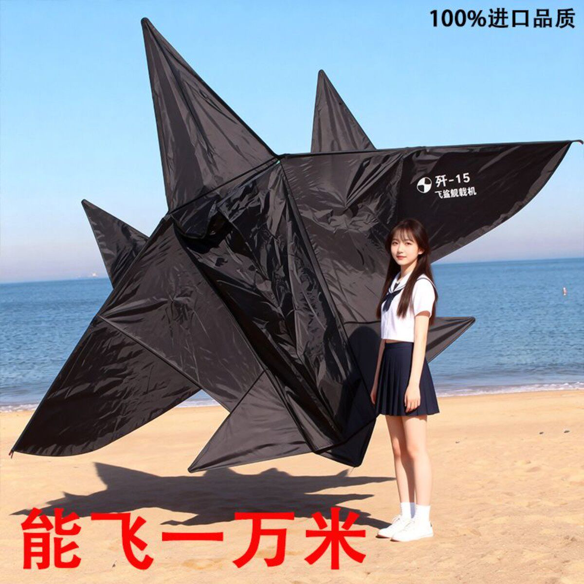 能飞一万米进口高档巨型5D战斗机成人儿童大型大人专用风筝黑飞机 - 华锐高端风筝工厂出品