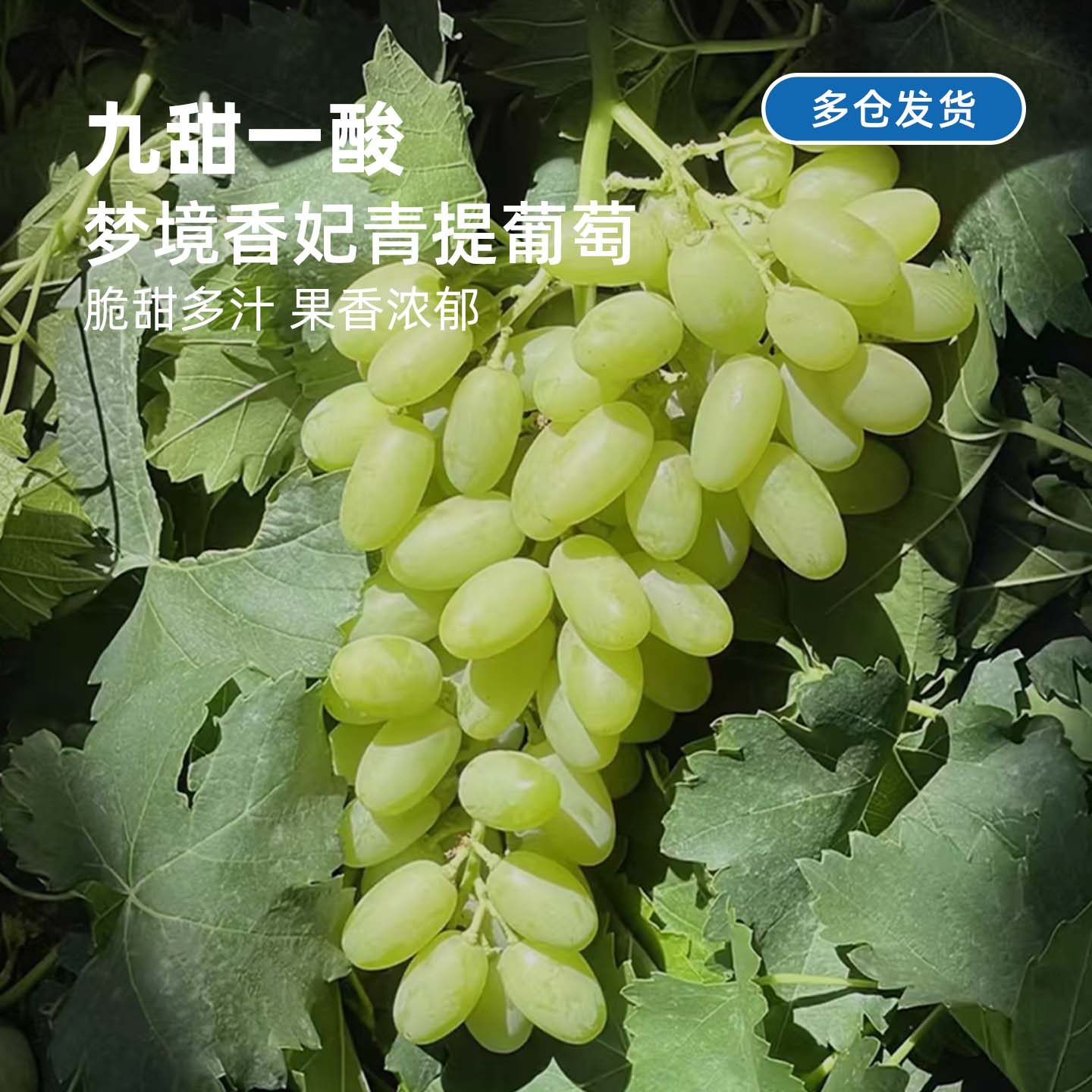 九甜一酸丨新疆梦境香妃青提