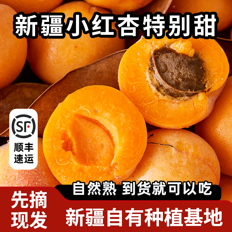 新疆小红杏吊干杏新鲜水果