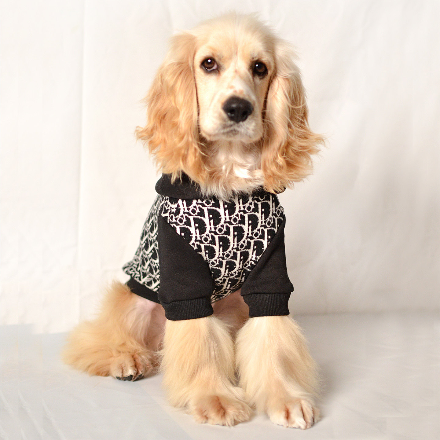秋冬潮牌狗衣服猫咪约克夏西施小鹿犬雪纳瑞比熊泰迪中小型犬保暖