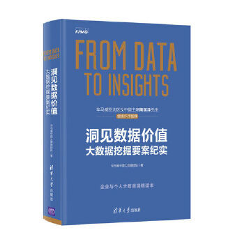 洞见数据价值 毕马威中国大数据团队 9787302491804 清华出版社