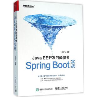 9787121282089 汪云飞编著 JavaEE开发 颠覆者