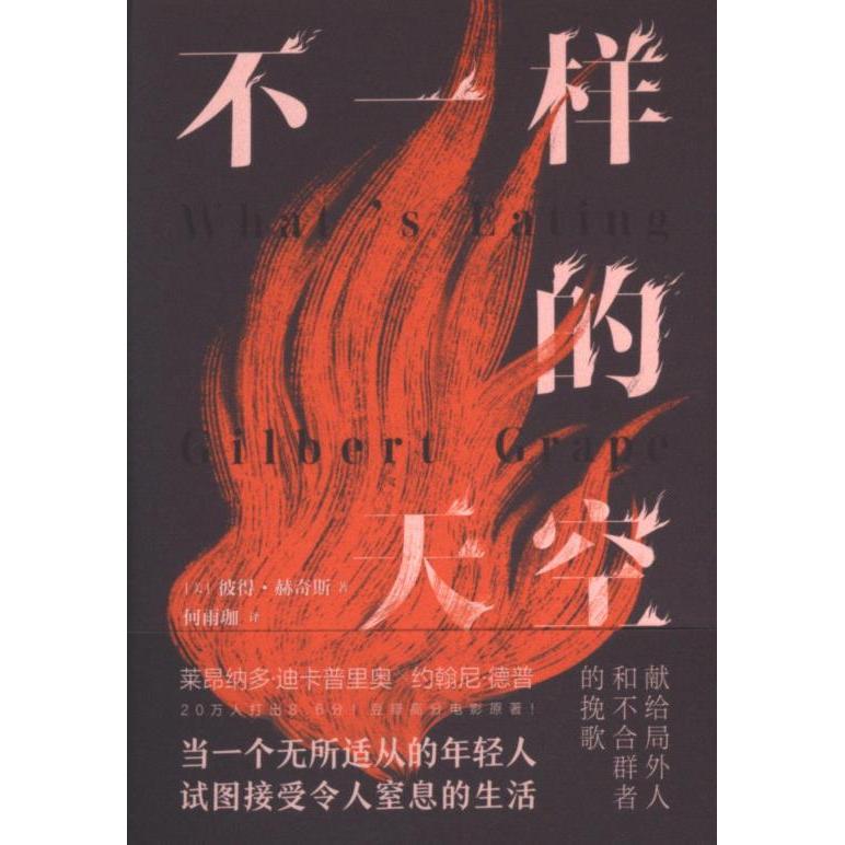 不一样的天空 (美) 彼得·赫奇斯著 9787213113376