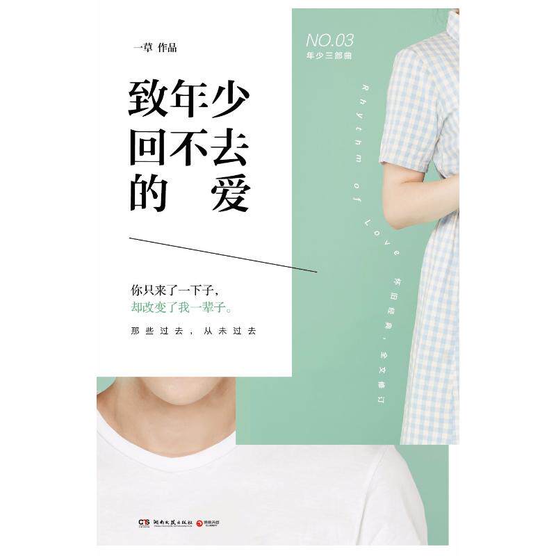 致年少回不去的爱一草著湖南文艺出版社9787540485030