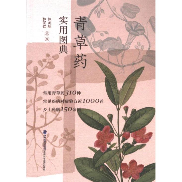 青草药实用图典林美珍, 林汉钦主编福建科学技术出版社9787533572402