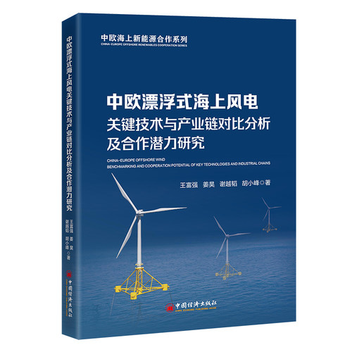 中欧漂浮式海上风电关键技术与产业链对比分析及合作潜力研究王富强 ... [等] 著中国经济出版社9787513680486