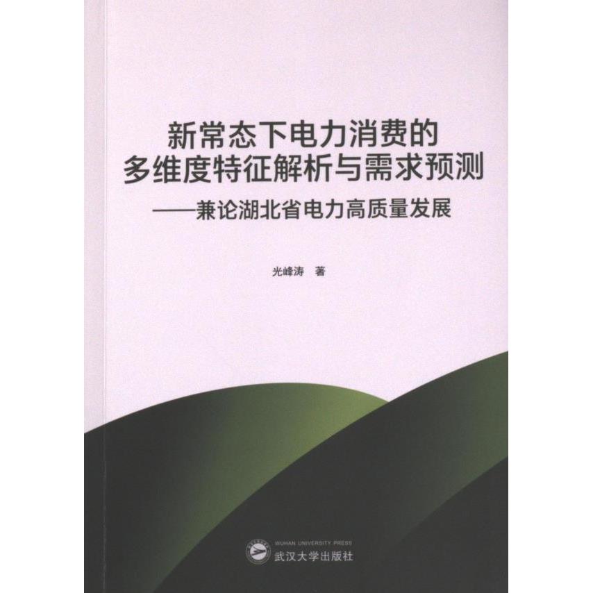 新常态下电力消费的多维度特征解析与需求预测光峰涛著武汉大学出版社9787307239616