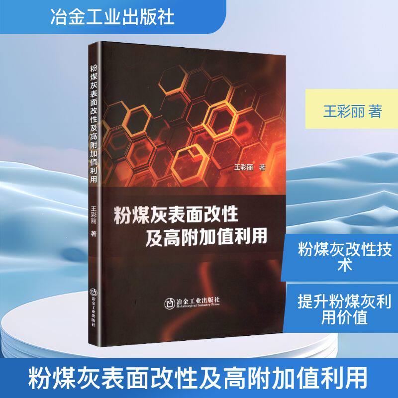 粉煤灰表面改性及高附加值利用 王彩丽著 9787524001997