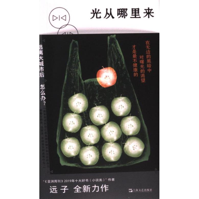 光从哪里来(拜德雅·文学·乐游原)远子上海文艺出版社9787532188758