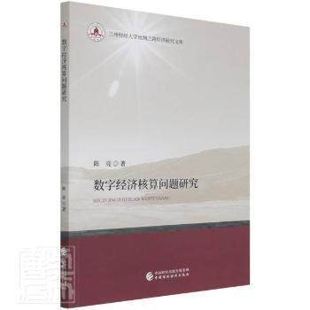 数字经济核算问题研究 陈亮著 9787522302645