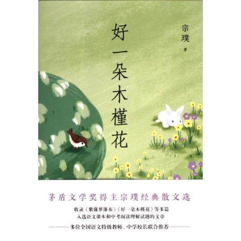 好一朵木槿花 宗璞著 9787559673152