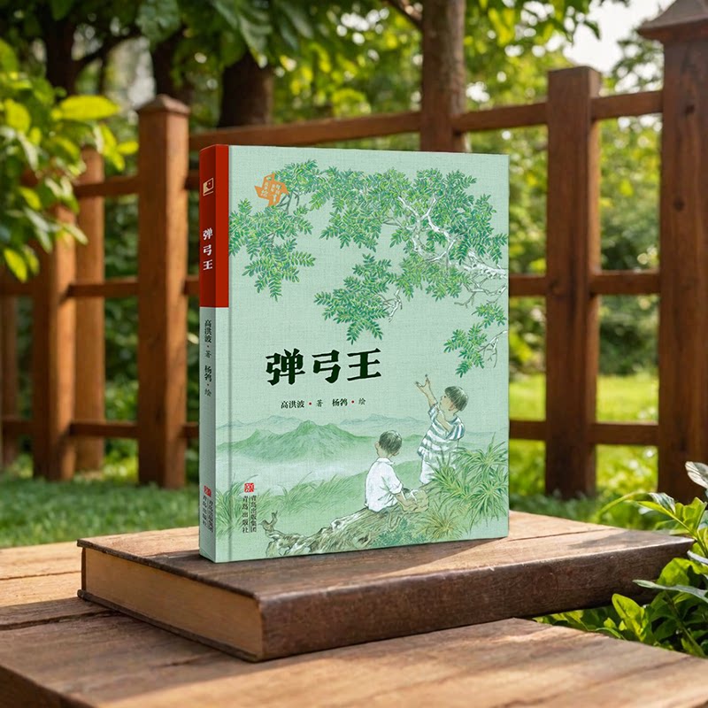 弹弓王 高洪波著 9787573629265