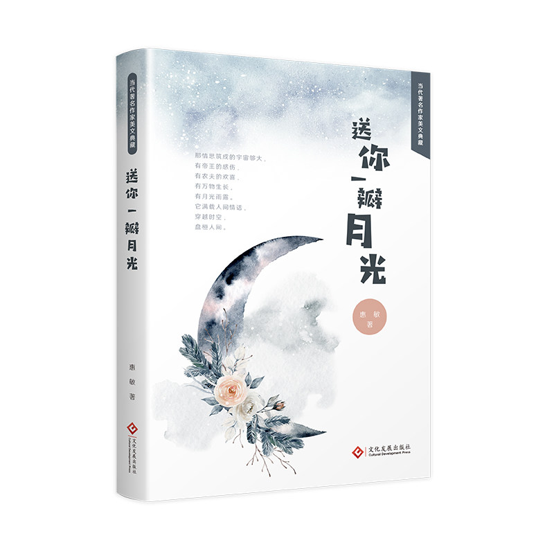 送你一瓣月光惠敏著文化发展出版社9787514224696