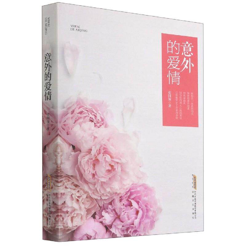 意外的爱情 张国领著 9787539671024