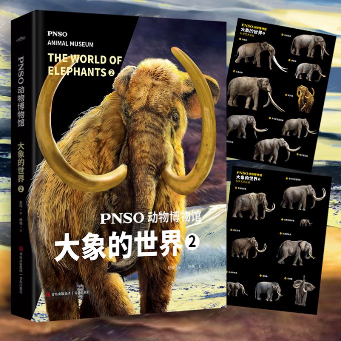 PNSO动物博物馆：大象的世界2（由国际水平的科学与艺术团队创作；震撼人心的动物科普，科学与艺