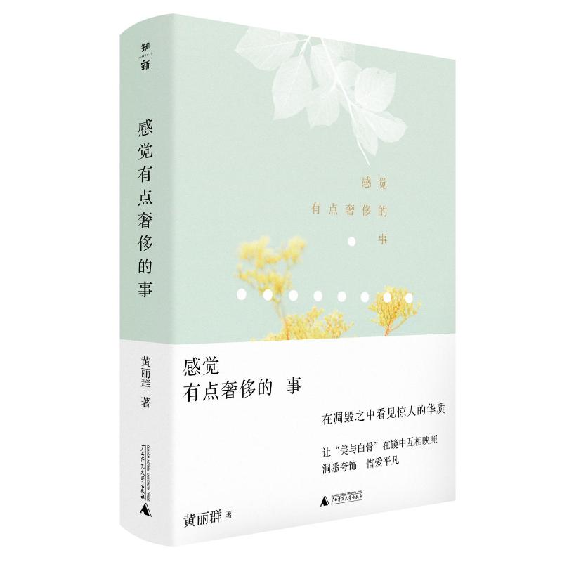 感觉有点奢侈的事 黄丽群著 9787559879110