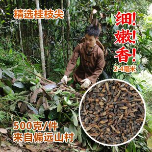 新货 精选食用特细嫩条中药香料干货 广西桂枝尖500g 买三送一