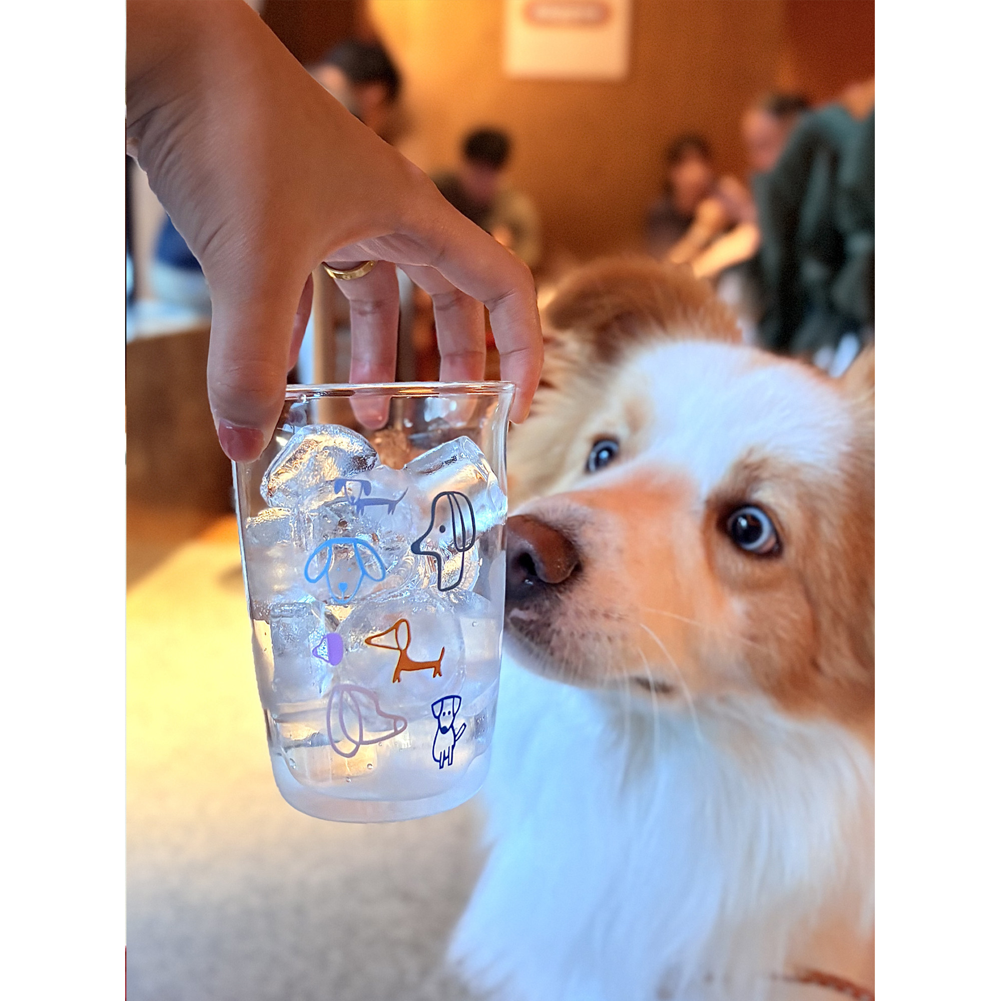 原创多巴胺萌宠手绘彩虹小狗咖啡杯耐高温玻璃杯｜ins风果汁杯