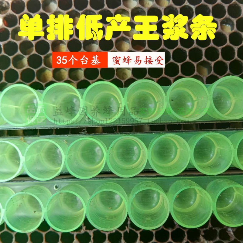 养蜂育王条低产王浆条黄色单排取浆条单王台基王浆育王25条装包邮