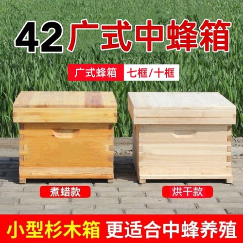42广式中蜂蜂箱42七框十框42小型蜜蜂箱杉木中蜂箱不煮蜡两广中蜂