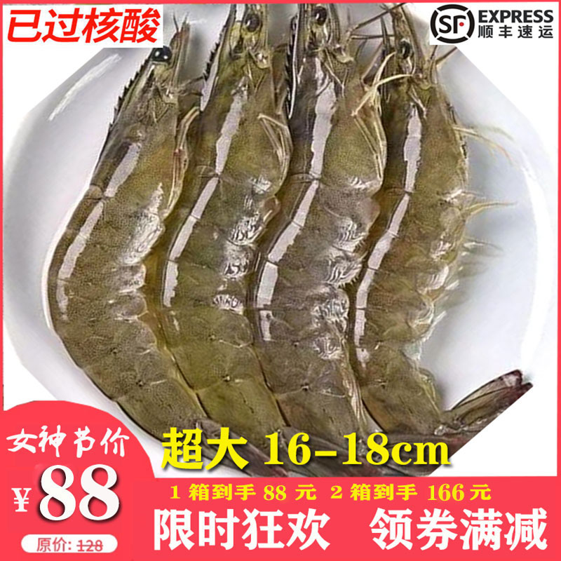 新鲜青岛大虾鲜活海鲜水产特大青虾超大冷冻基围虾鲜对虾海虾活虾