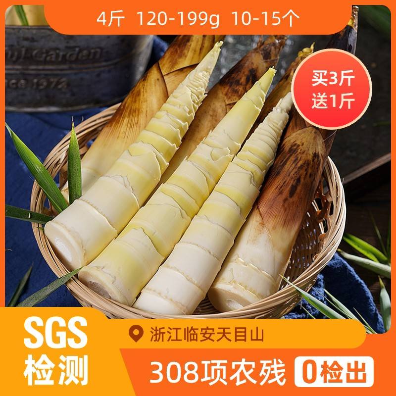 辰颐物语新鲜杭州临安春雷笋3斤装现挖现发春笋雷竹笋应季手剥笋
