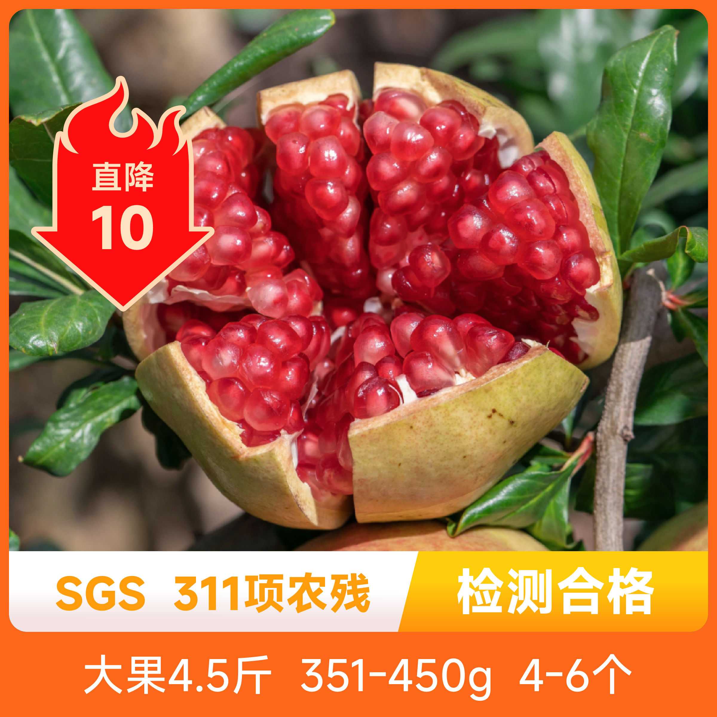 辰颐物语突尼斯软籽石榴现摘水果