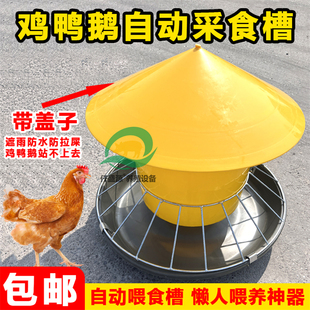 新型鸡食槽喂鸡食槽鸡鸭鹅料槽家禽养鸡自动喂食器养殖神器喂食槽