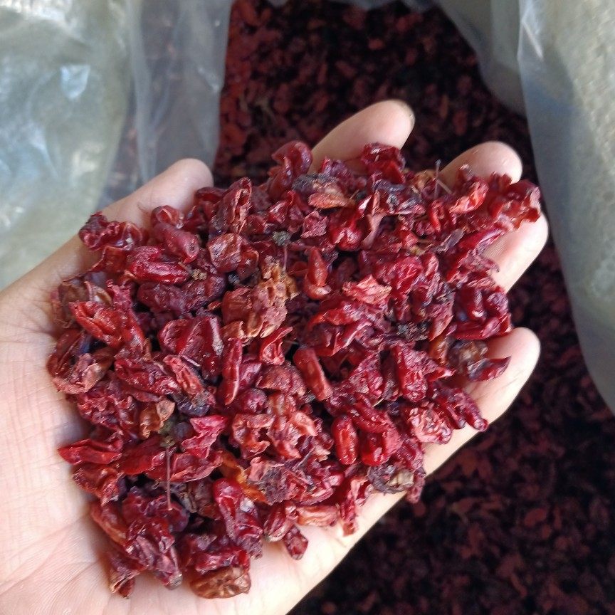 秦岭野生山茱萸农家自产山萸肉自然晒干无硫茱萸500克佛坪山茱萸