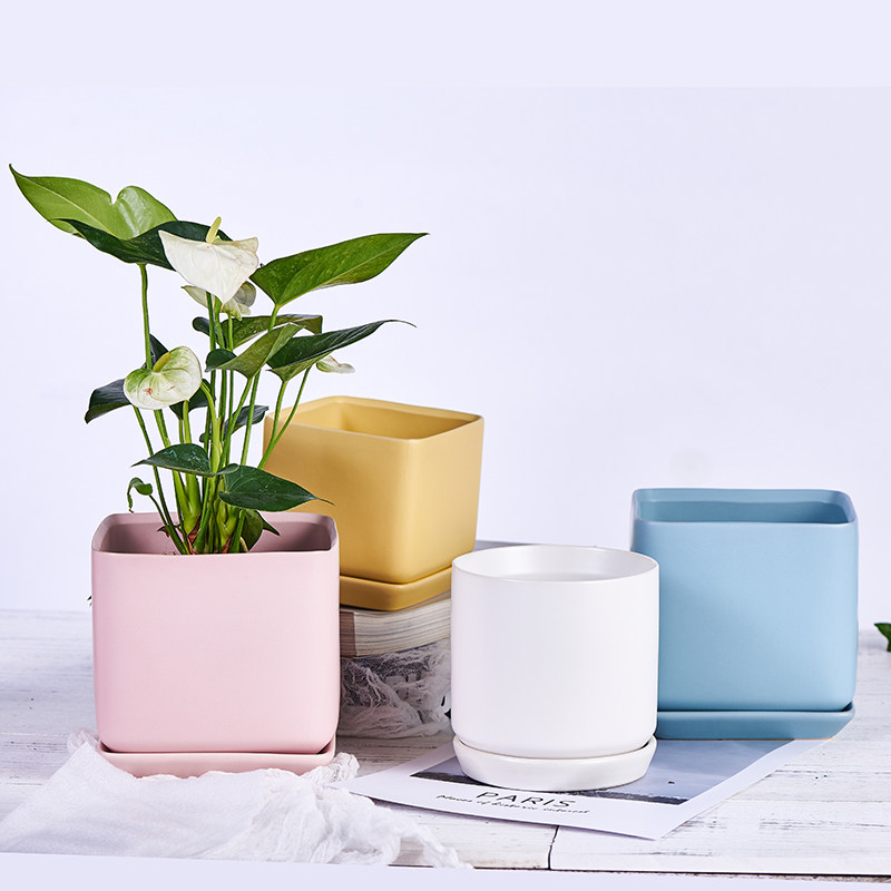 北欧简约陶瓷花盆ins马卡龙颜色方盆绿萝多肉吊兰创意家用日式粉,鲜花速递/花卉仿真/绿植园艺,花盆,淘宝优惠券,粉丝福利购,淘宝优惠卷