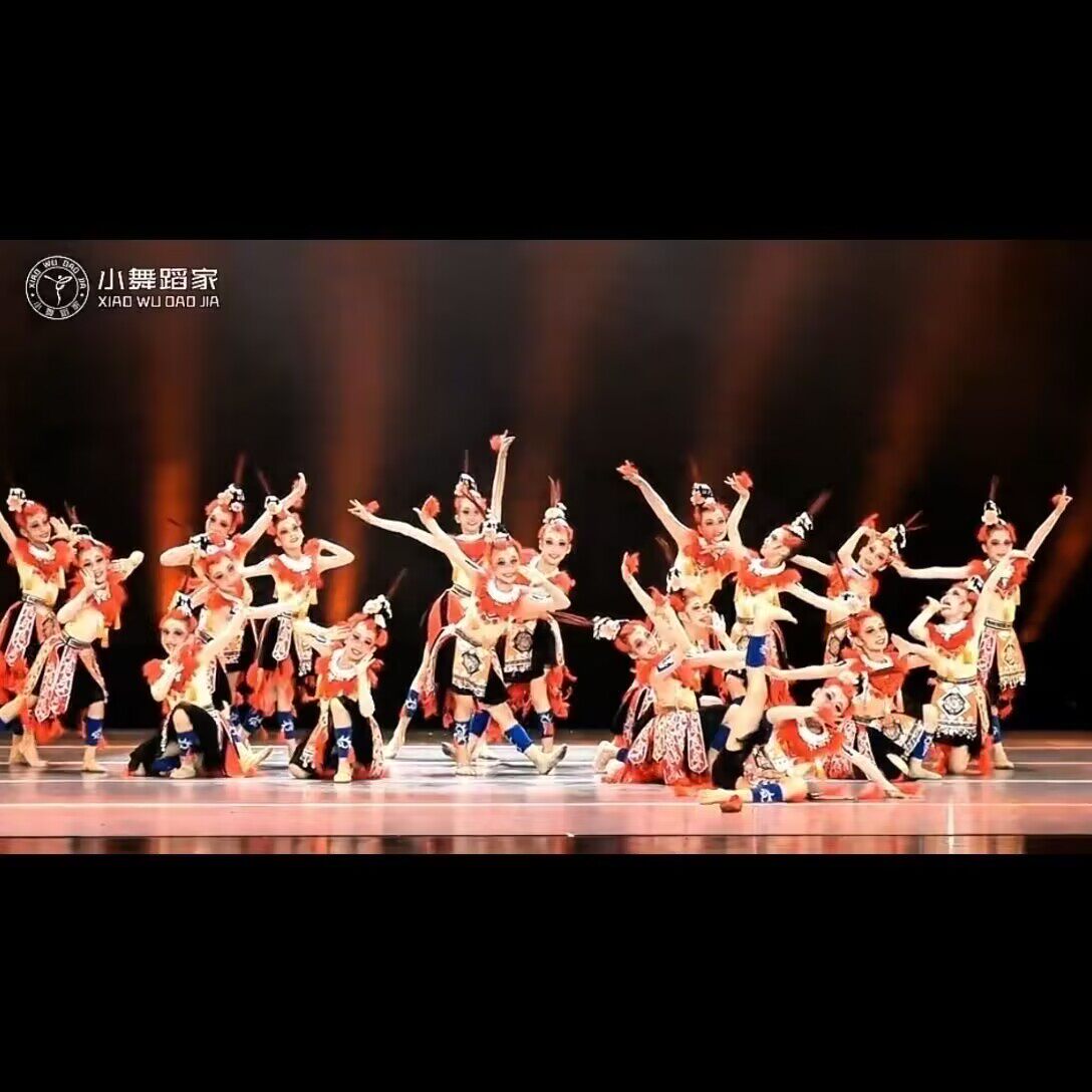 新款儿童三月三民族舞蹈服苗族女童锦鸡炫美舞蹈演出服艺考表演服 - 实物图