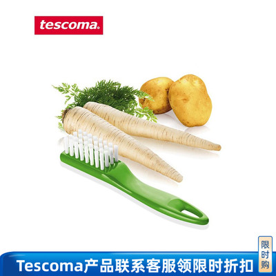 Tescoma捷克进口专柜同款果蔬刷