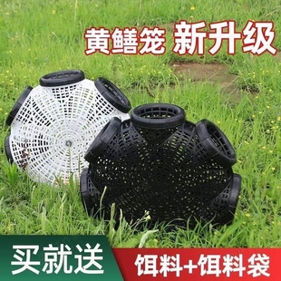黄鳝笼鳝鱼泥鳅笼龙虾网笼捕虾笼鳝鱼笼鱼网黄鳝捕鳝笼捕黄鳝神器