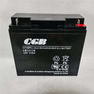 武汉CGB长光蓄电池12V24AH免维护CB12240UPS光伏发电直流屏