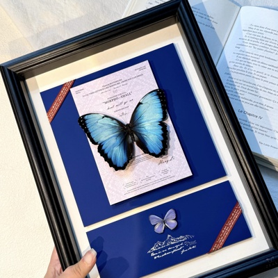 蝶标本原创相框小众DIY创意摆台